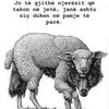 IMG_1805.jpeg