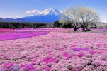 IMG_1845.jpeg