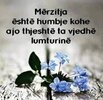 IMG_1866.jpeg