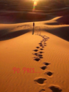 IMG_1717336007669.png