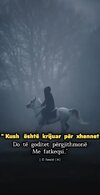 IMG_4368.jpeg