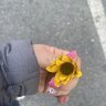 Fiore