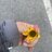 Fiore